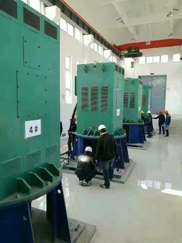 南林乡某污水处理厂使用我厂的立式高压电机安装现场